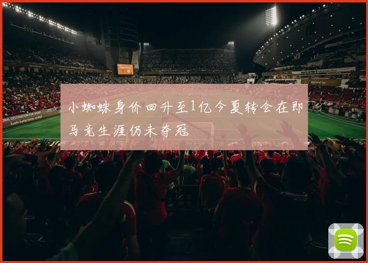 小蜘蛛身价回升至1亿今夏转会在即马竞生涯仍未夺冠